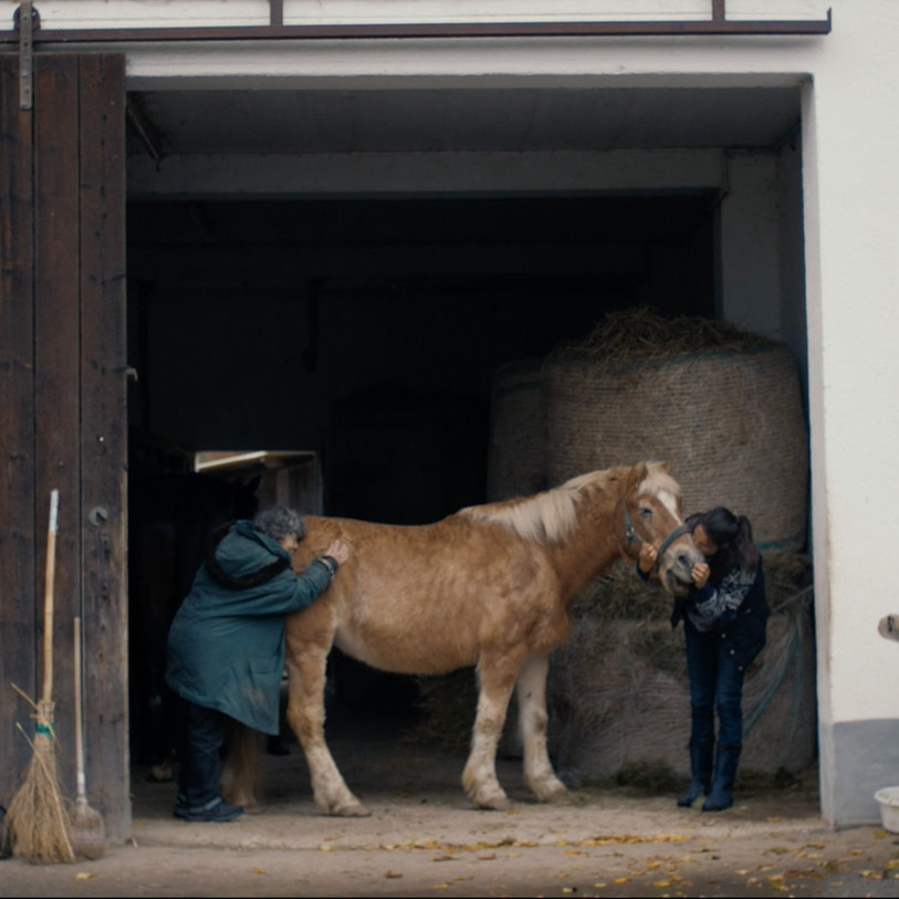 LOST IN FACE - Filmstill